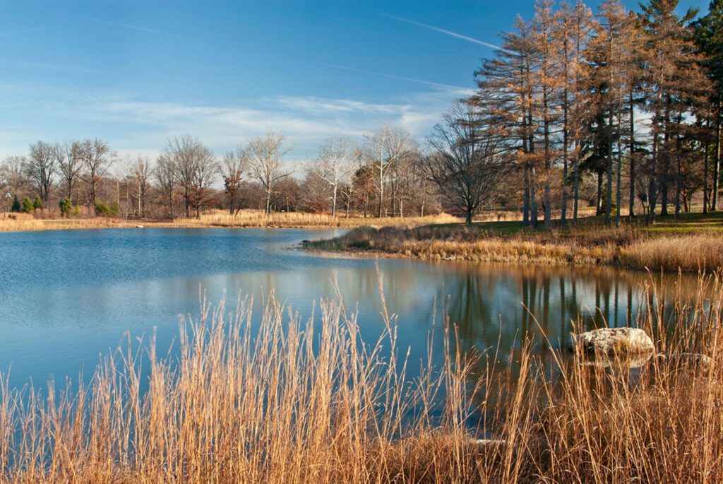 dentist in Downers Grove
